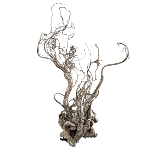 SILVER - Perseverance