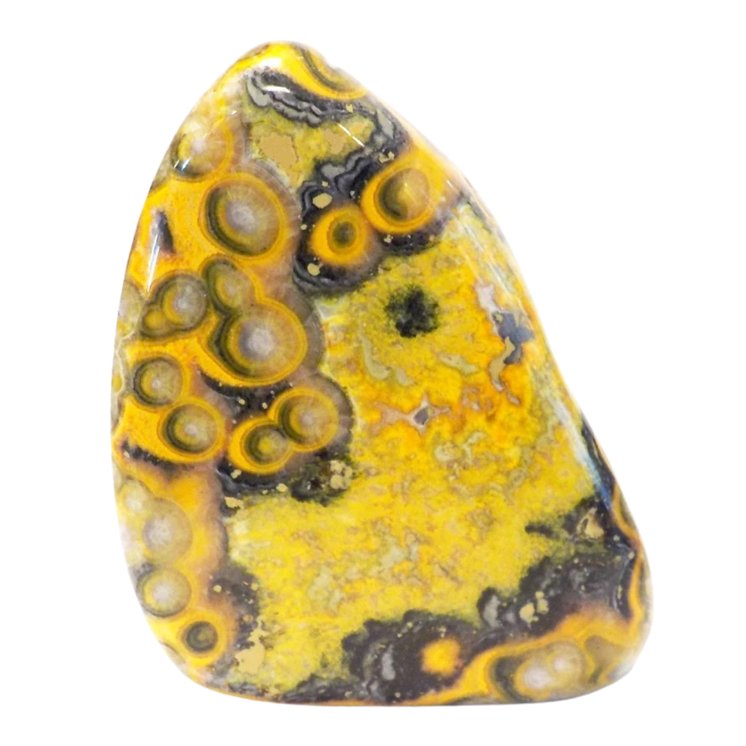 BUMBLEBEE JASPER - Mental Health