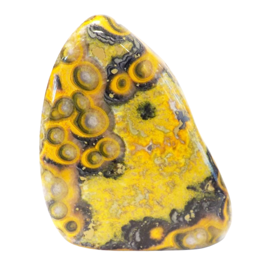 BUMBLEBEE JASPER - Mental Health