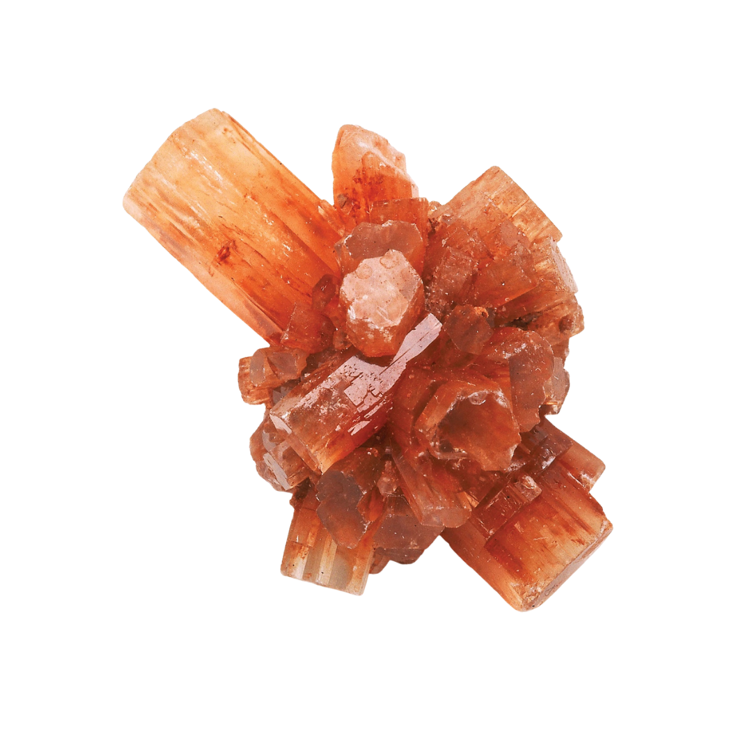 ARAGONITE - Support
