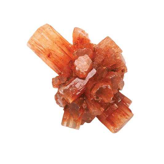 ARAGONITE - Support