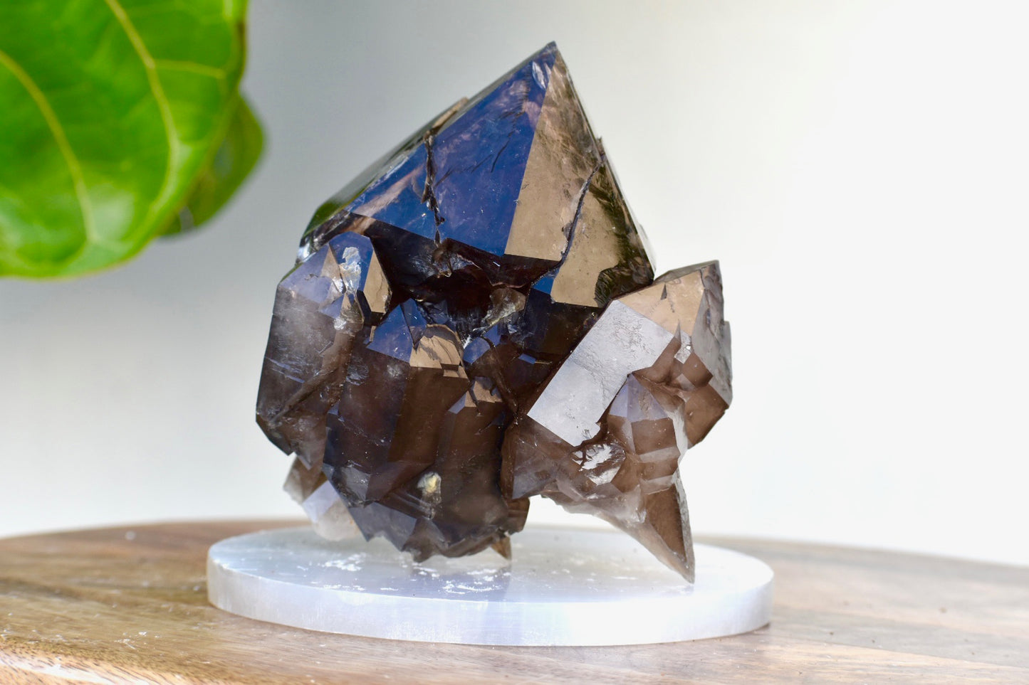 Peak Experience Crystal Mining Adventures