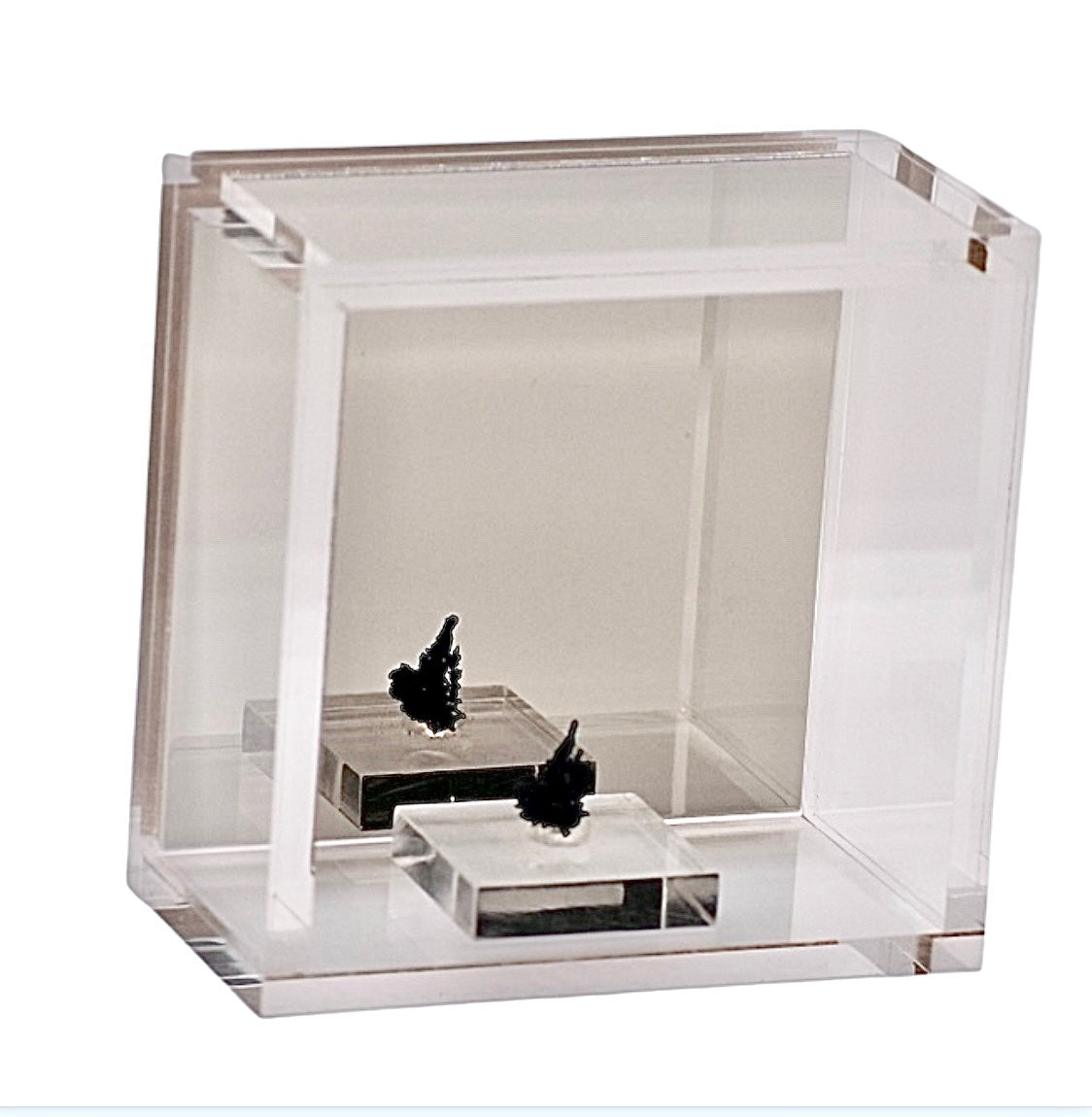 Start Your Collection Gift Box