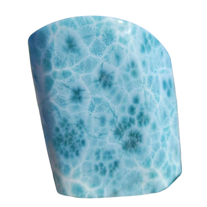 LARIMAR - Perception